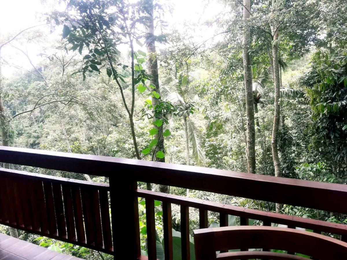 Ubud River Side House Hotel Exterior photo